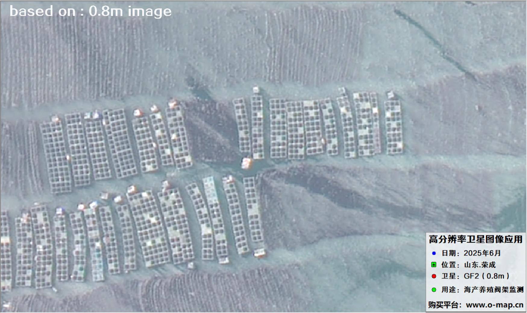 高分二号卫星2025年6月拍摄的山东省荣成市海产养殖卫星图像