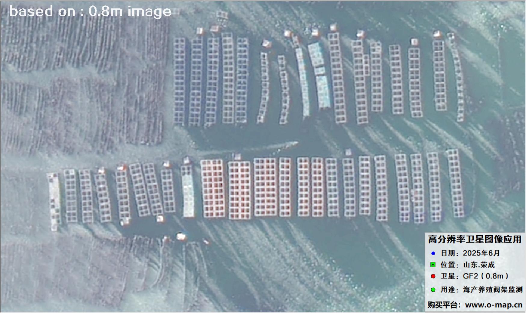 高分二号卫星2025年6月拍摄的山东省荣成市海产养殖卫星图像