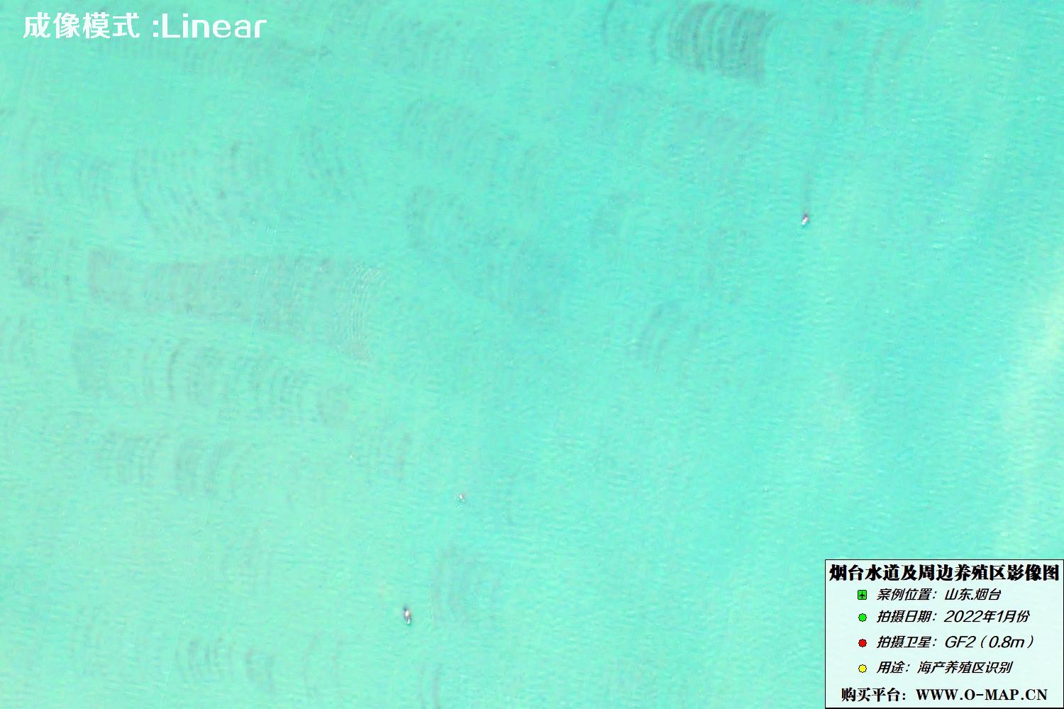 烟台海产养殖区GF2卫星图像Linear显示模式图片