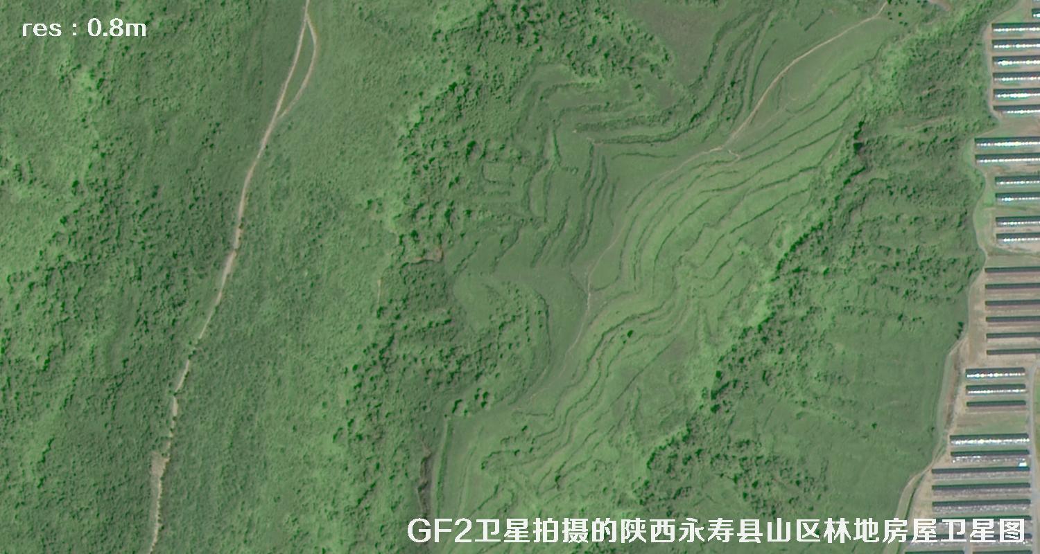 GF2卫星2017年拍摄的陕西省咸阳市永寿县山区树林和房屋卫星图