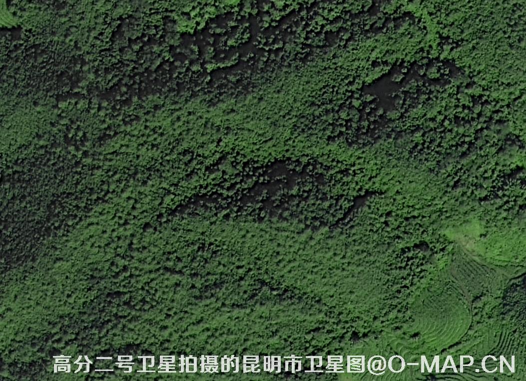 高分二号卫星拍摄的云南省昆明市0.8米卫星图