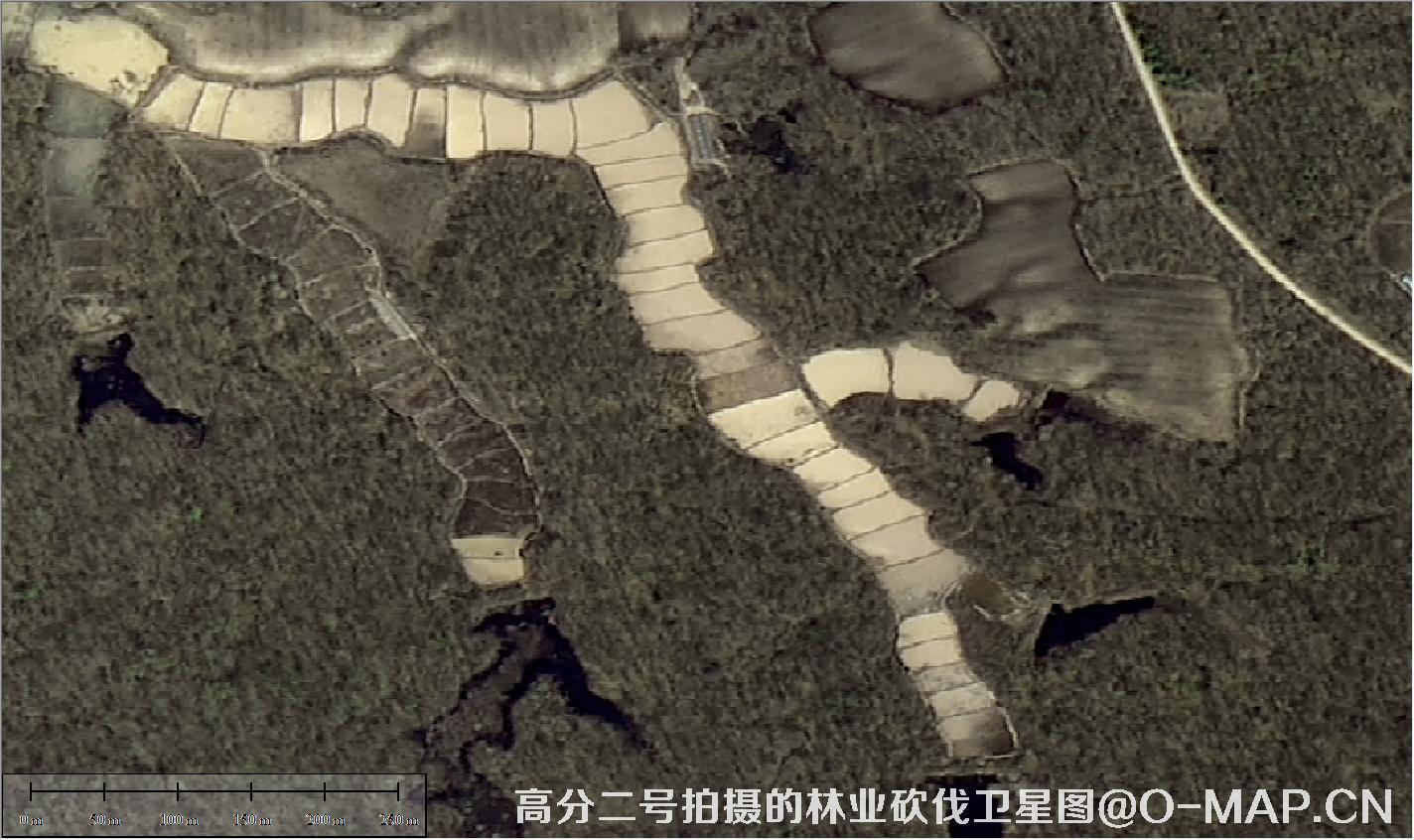 高分二号拍摄的林业砍伐卫星图