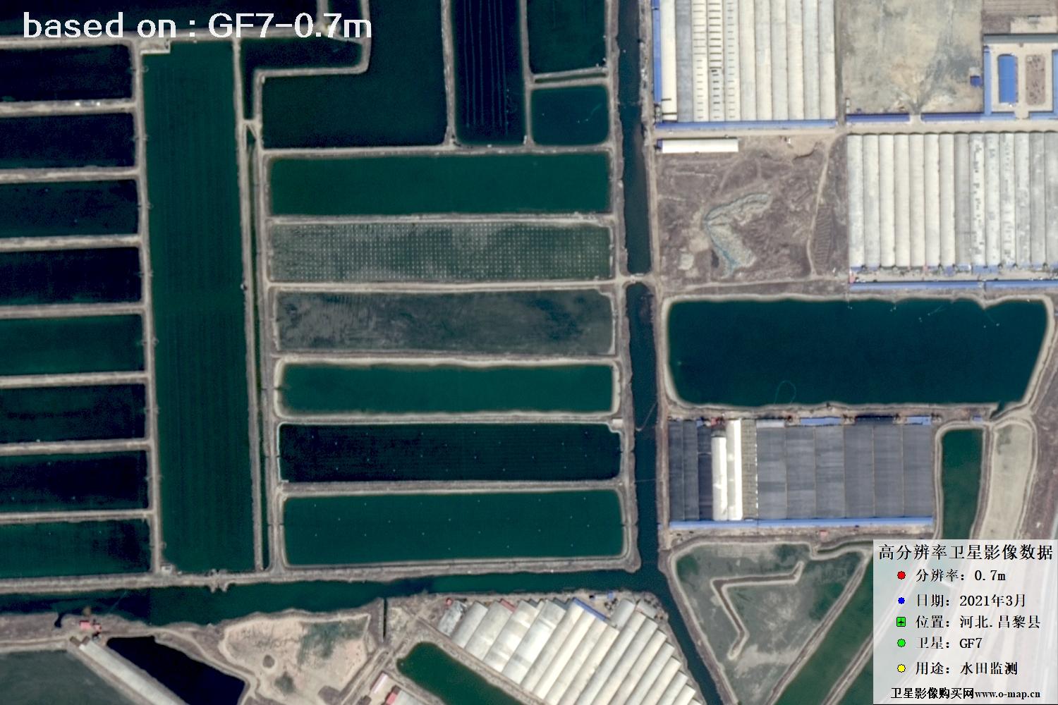 GF7卫星2021年3月份拍摄的河北省昌黎县水田水塘卫星图像