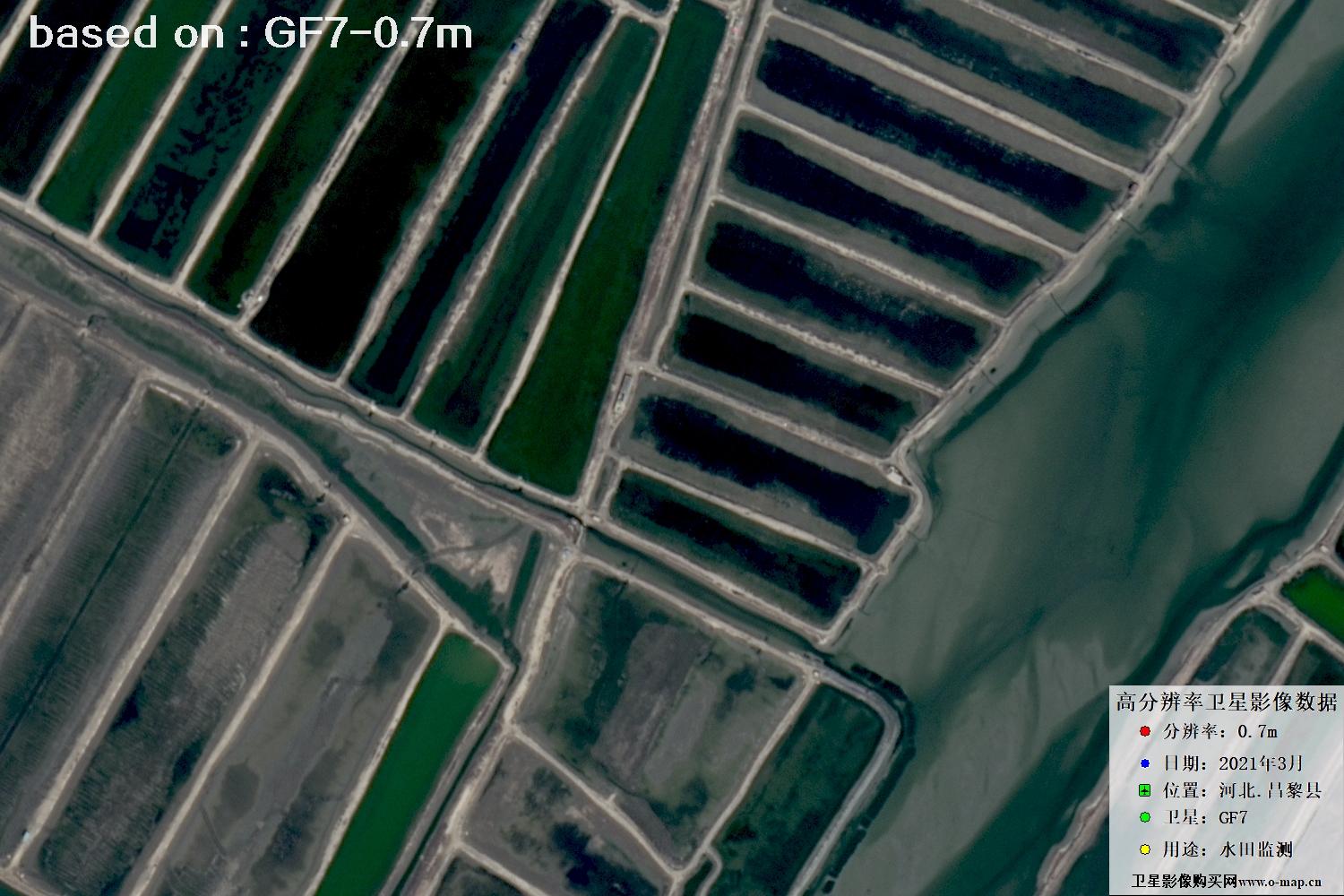 GF7卫星2021年3月份拍摄的河北省昌黎县水田水塘卫星图像