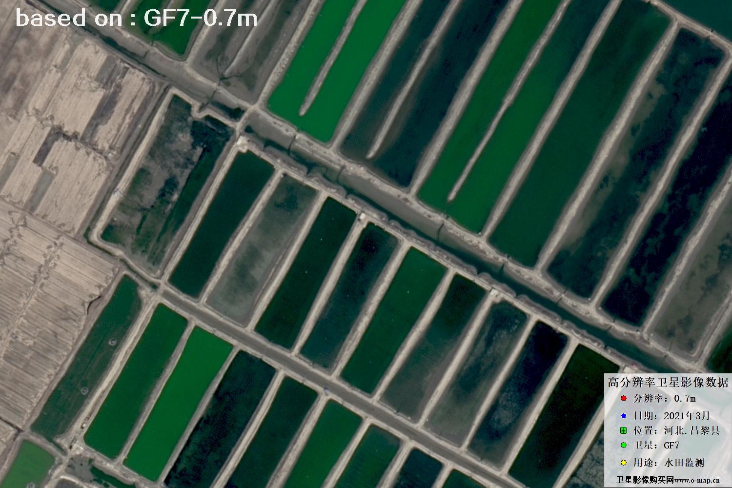 GF7卫星2021年3月份拍摄的河北省昌黎县水田水塘卫星图像