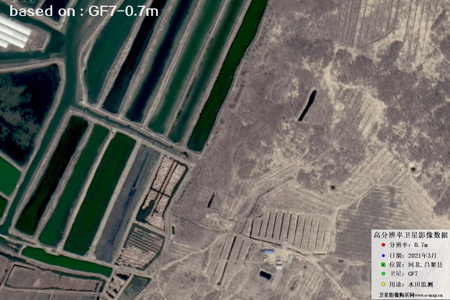 GF7卫星2021年3月份拍摄的河北省昌黎县水田水塘卫星图像