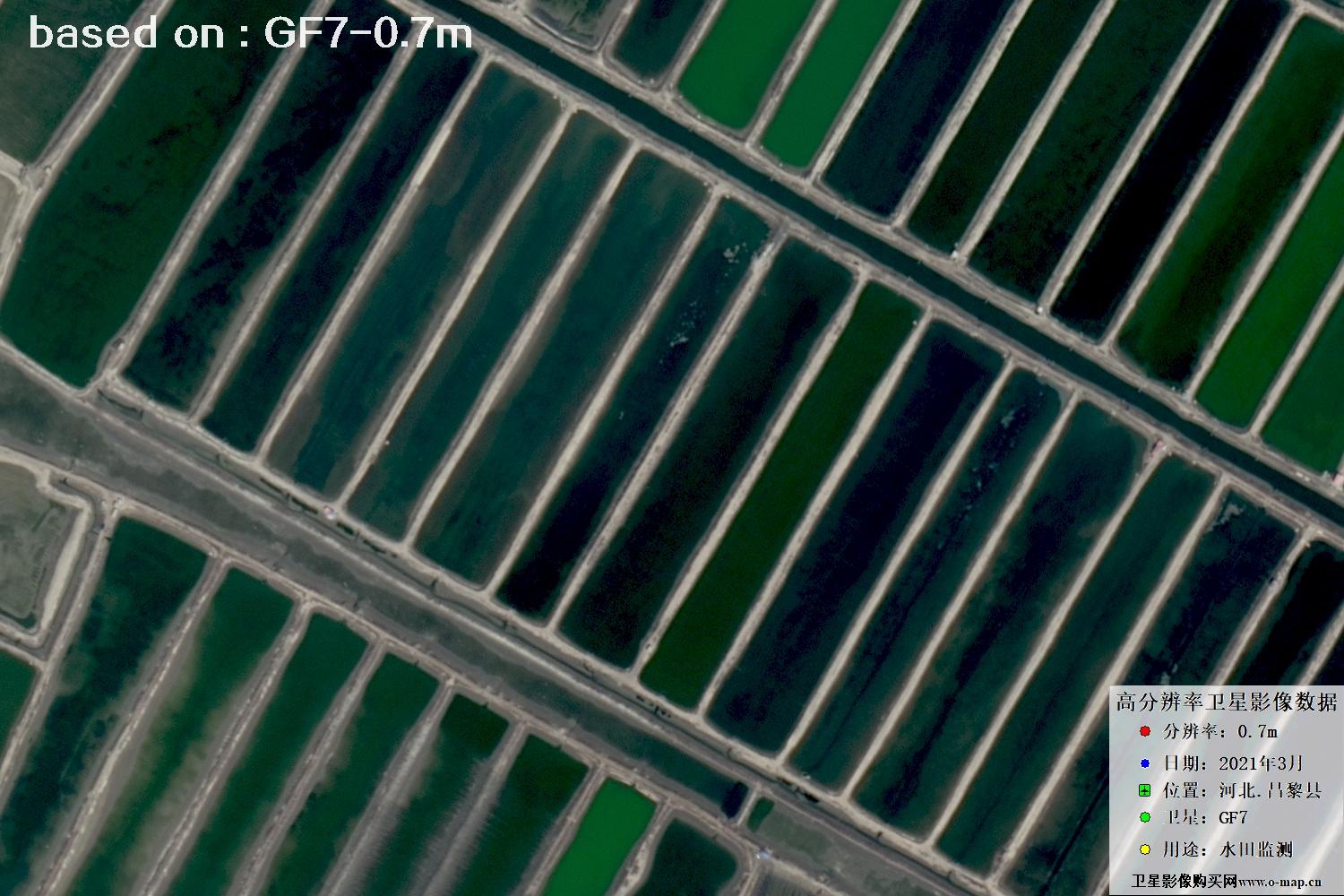 GF7卫星2021年3月份拍摄的河北省昌黎县水田水塘卫星图像