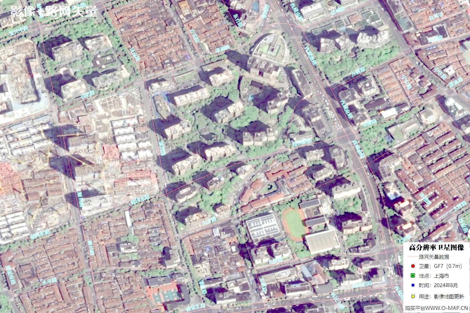上海市路网数据和上海市2024年卫星图像叠加展示