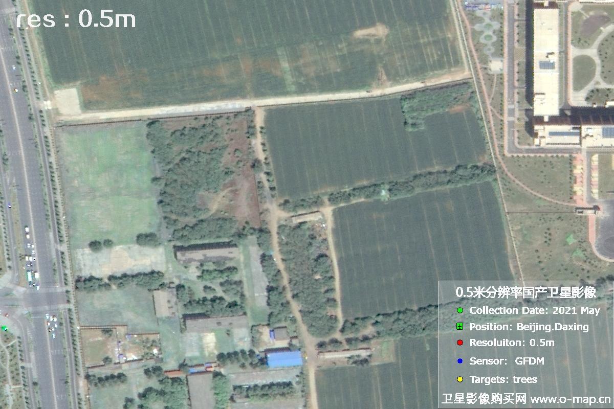 0.5米分辨率GFDM高分多模卫星拍摄的树林影像图