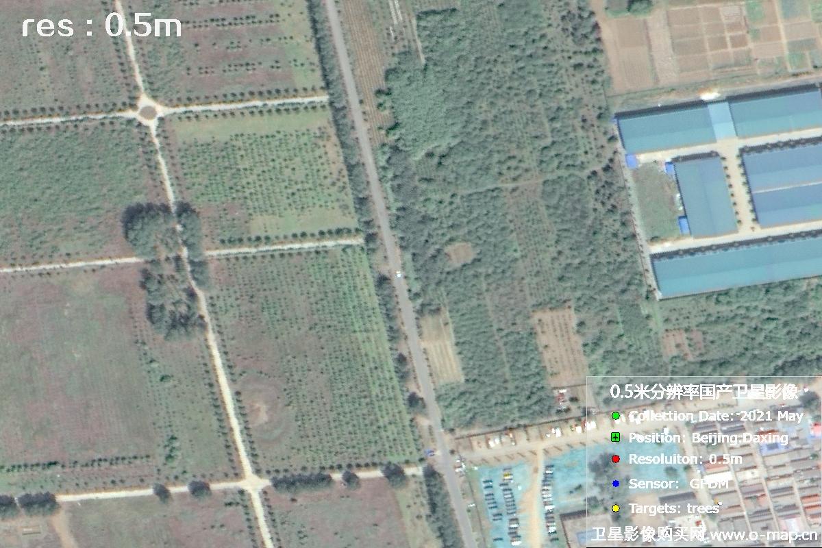 0.5米分辨率GFDM高分多模卫星拍摄的树林影像图