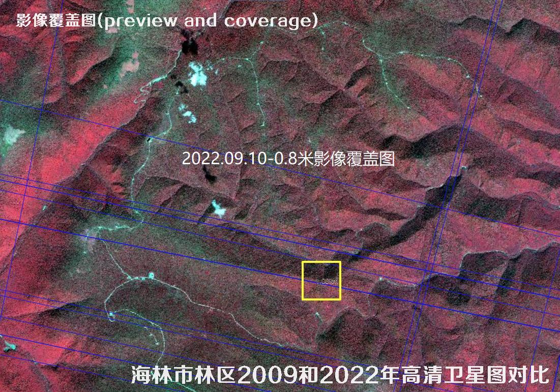 黑龙江海林市林区2009和2022年高清卫星图对比
