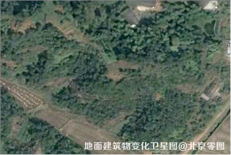 点击查看大图 地面建筑物变化卫星图