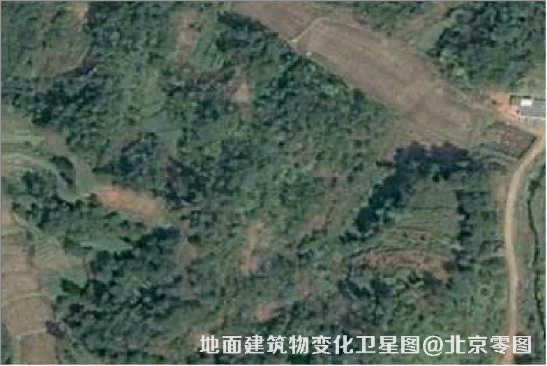点击查看大图 地面建筑物变化卫星图