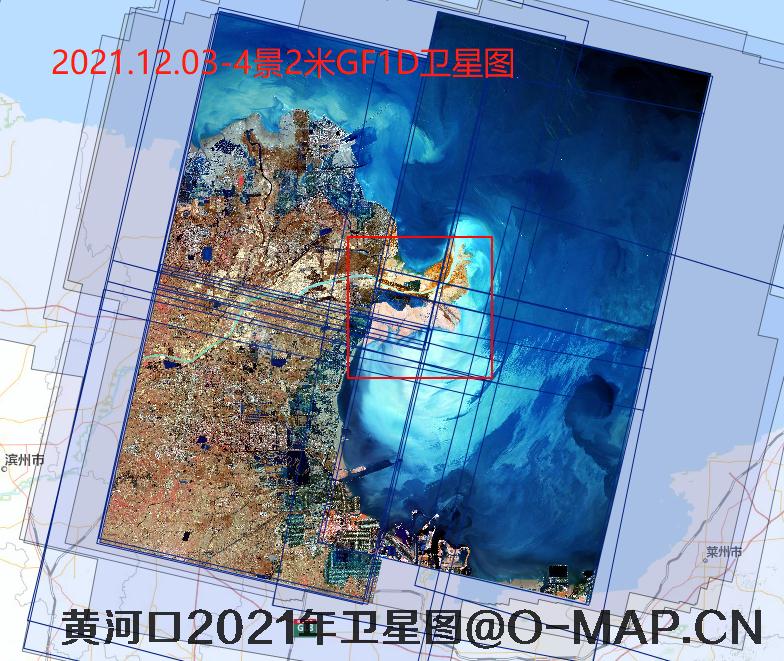 黄河口潮间带2021年最新卫星图