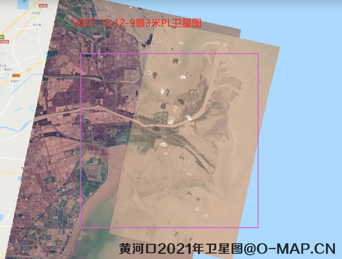 黄河口潮间带2021年最新卫星图