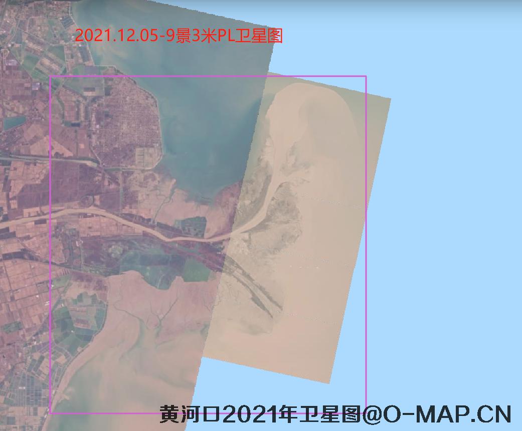 黄河口潮间带2021年最新卫星图