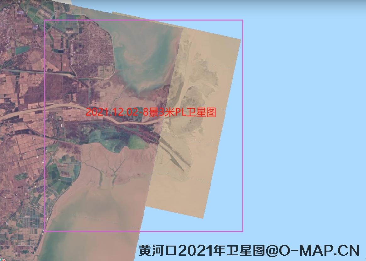 黄河口潮间带2021年最新卫星图