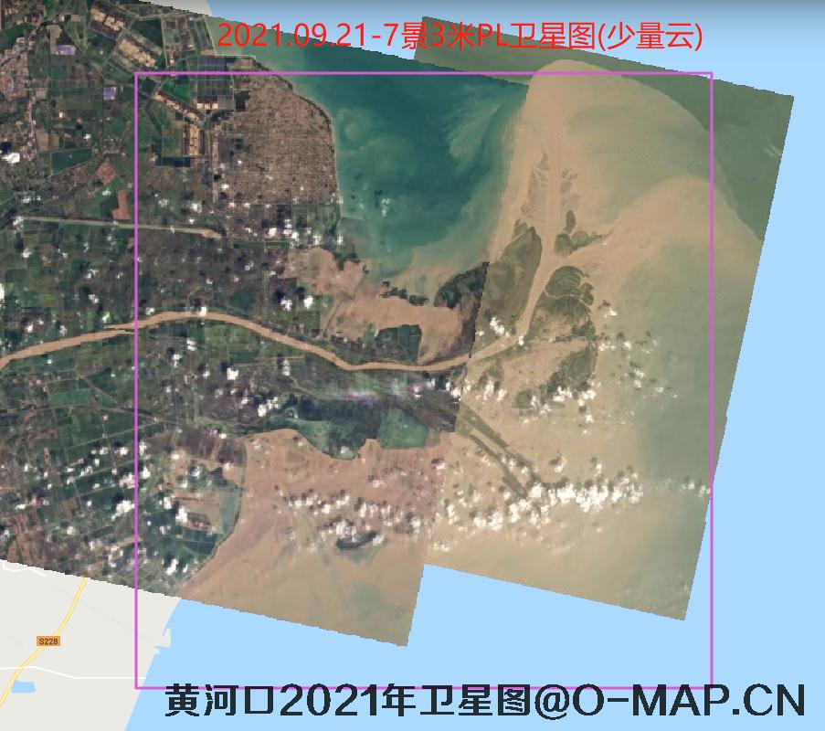 黄河口潮间带2021年最新卫星图