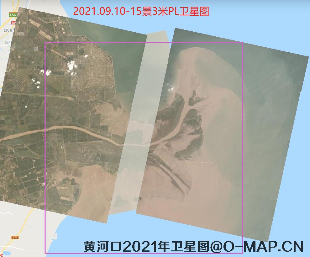 黄河口潮间带2021年最新卫星图