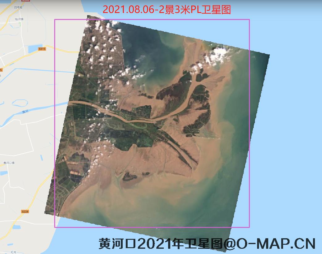 黄河口潮间带2021年最新卫星图