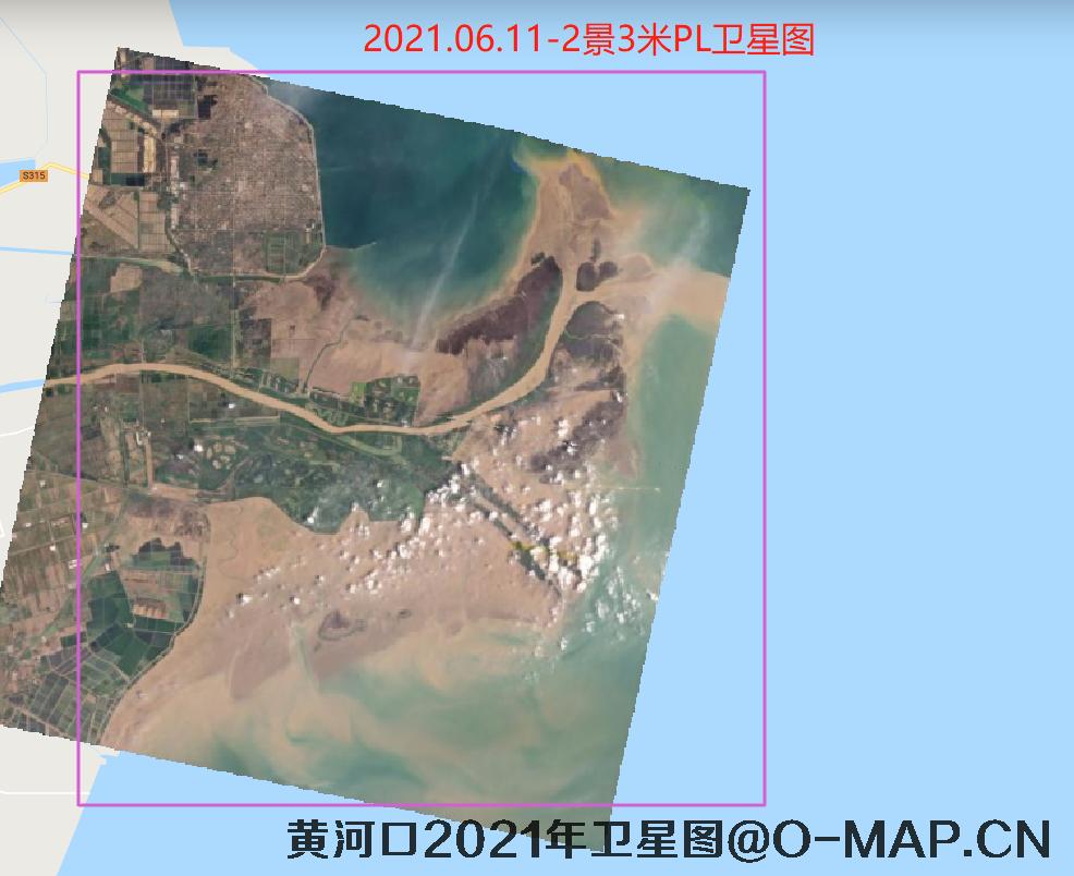 黄河口潮间带2021年最新卫星图