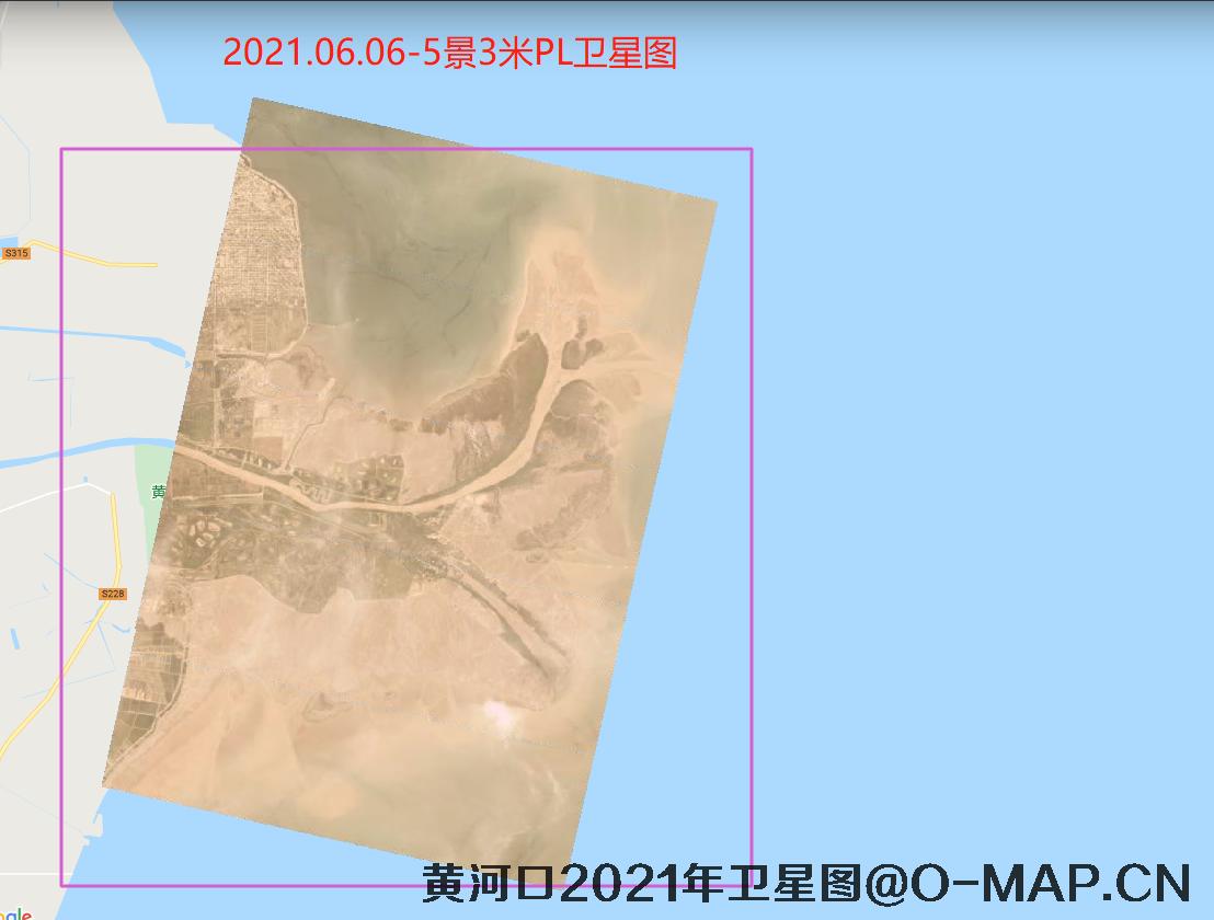 黄河口潮间带2021年最新卫星图