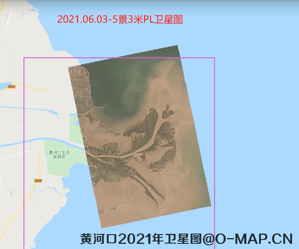 黄河口潮间带2021年最新卫星图