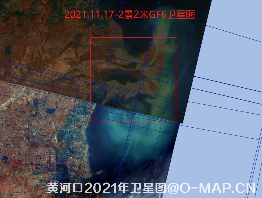 黄河口潮间带2021年最新卫星图