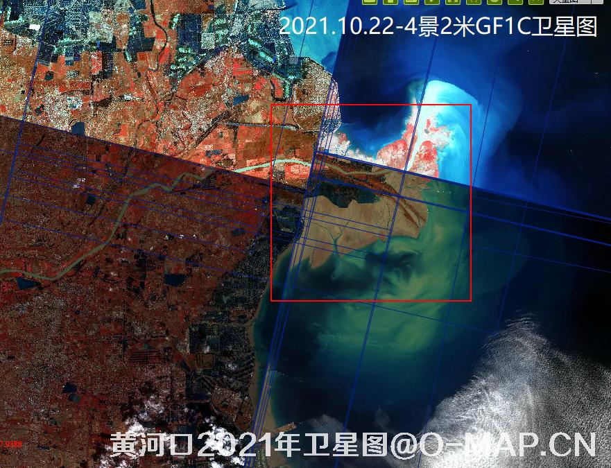 黄河口潮间带2021年最新卫星图