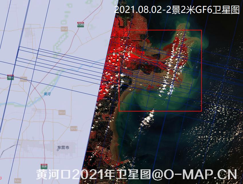 黄河口潮间带2021年最新卫星图