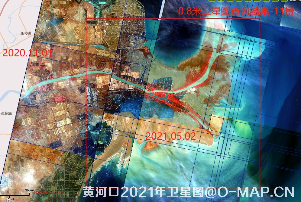 黄河口潮间带2021年最新卫星图