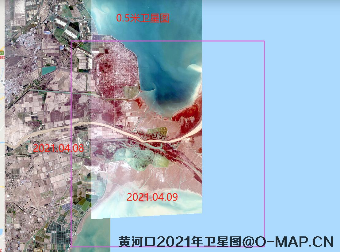 黄河口潮间带2021年最新卫星图