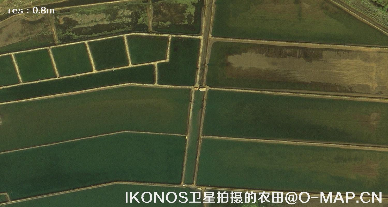 美国IKONOS卫星拍摄的农田卫星图片