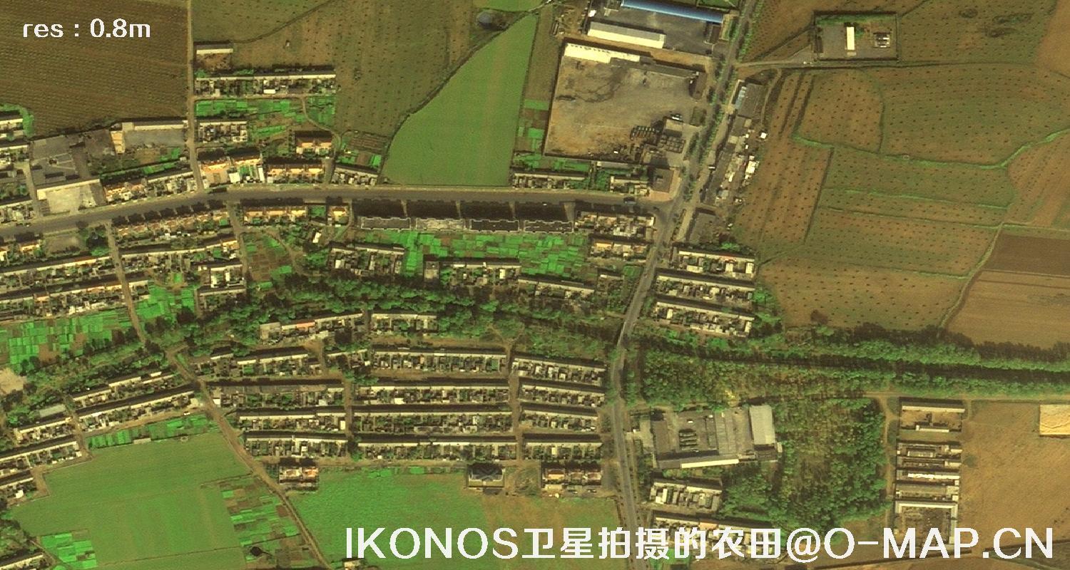 美国IKONOS卫星拍摄的农田卫星图片