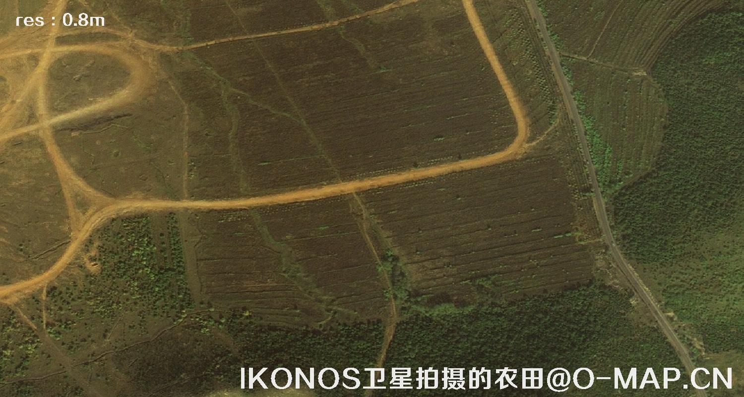 美国IKONOS卫星拍摄的农田卫星图片