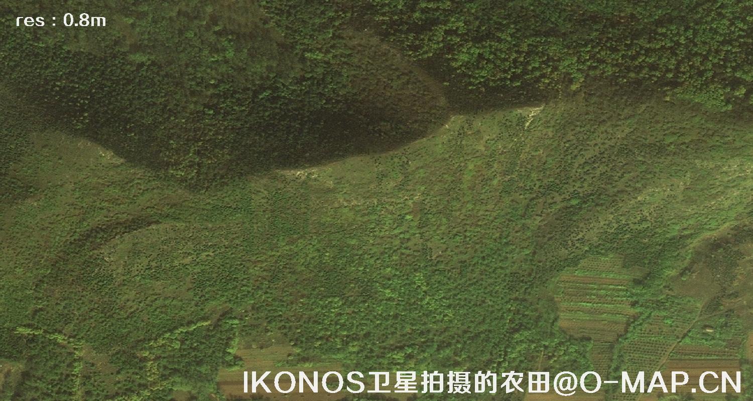 美国IKONOS卫星拍摄的农田卫星图片