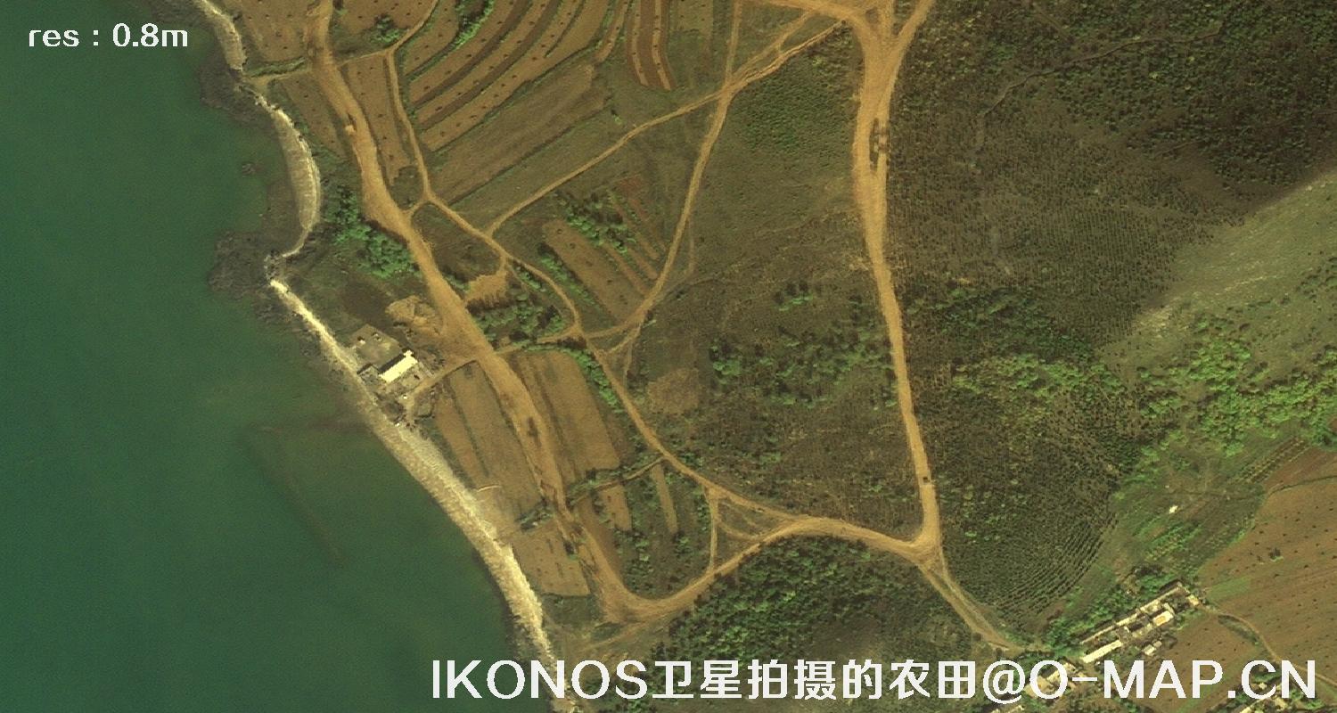 美国IKONOS卫星拍摄的农田卫星图片