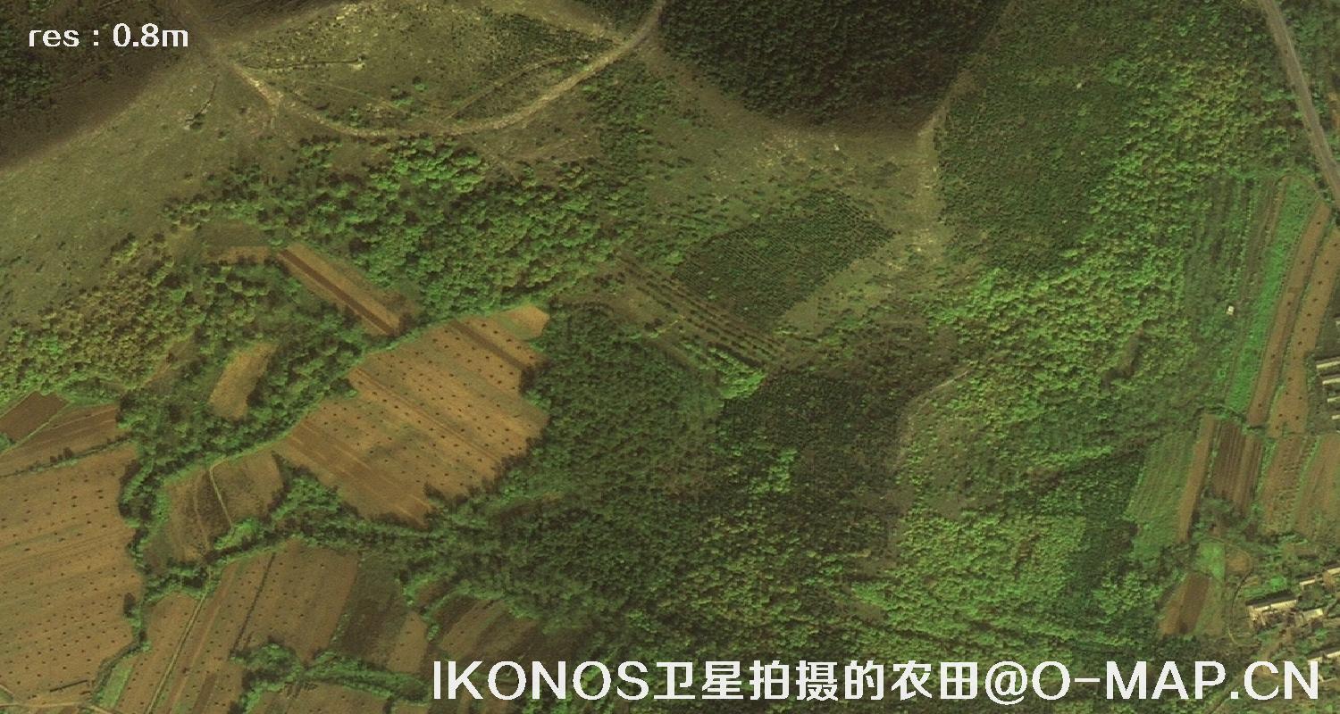 美国IKONOS卫星拍摄的农田卫星图片