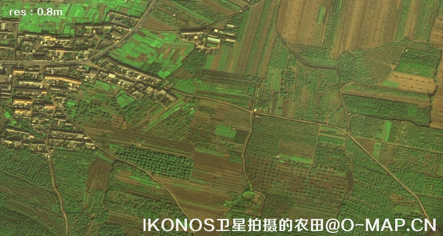 美国IKONOS卫星拍摄的农田卫星图片