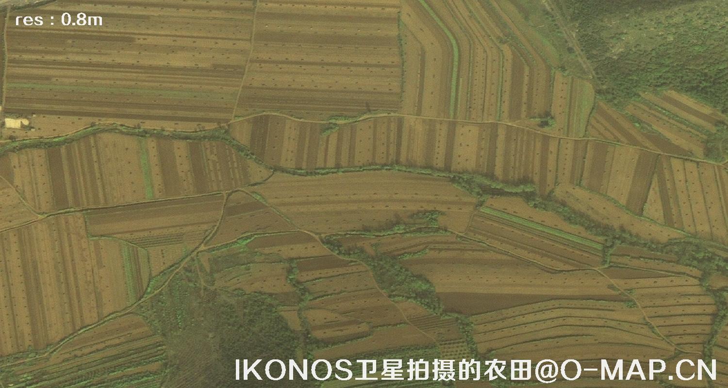 美国IKONOS卫星拍摄的农田卫星图片