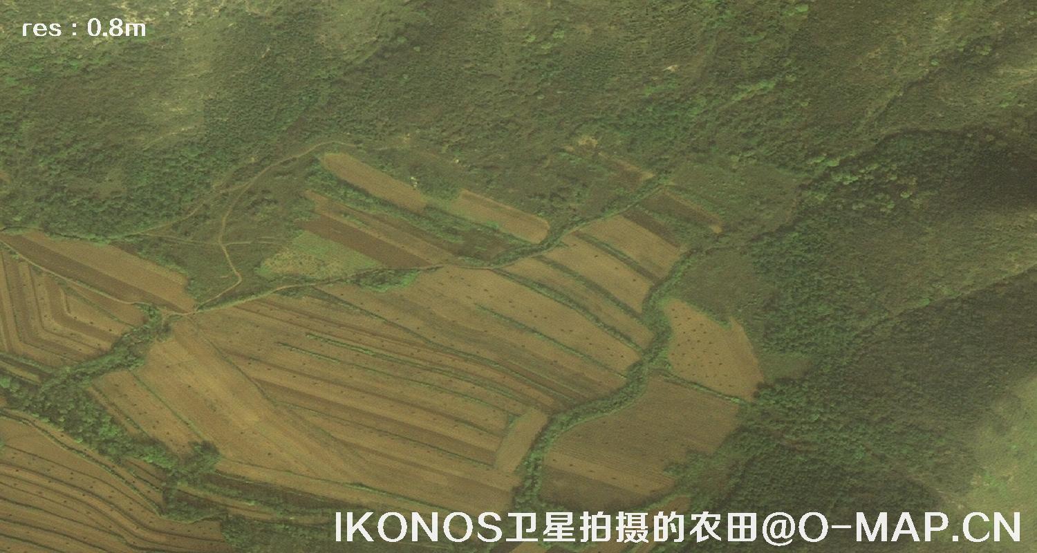美国IKONOS卫星拍摄的农田卫星图片