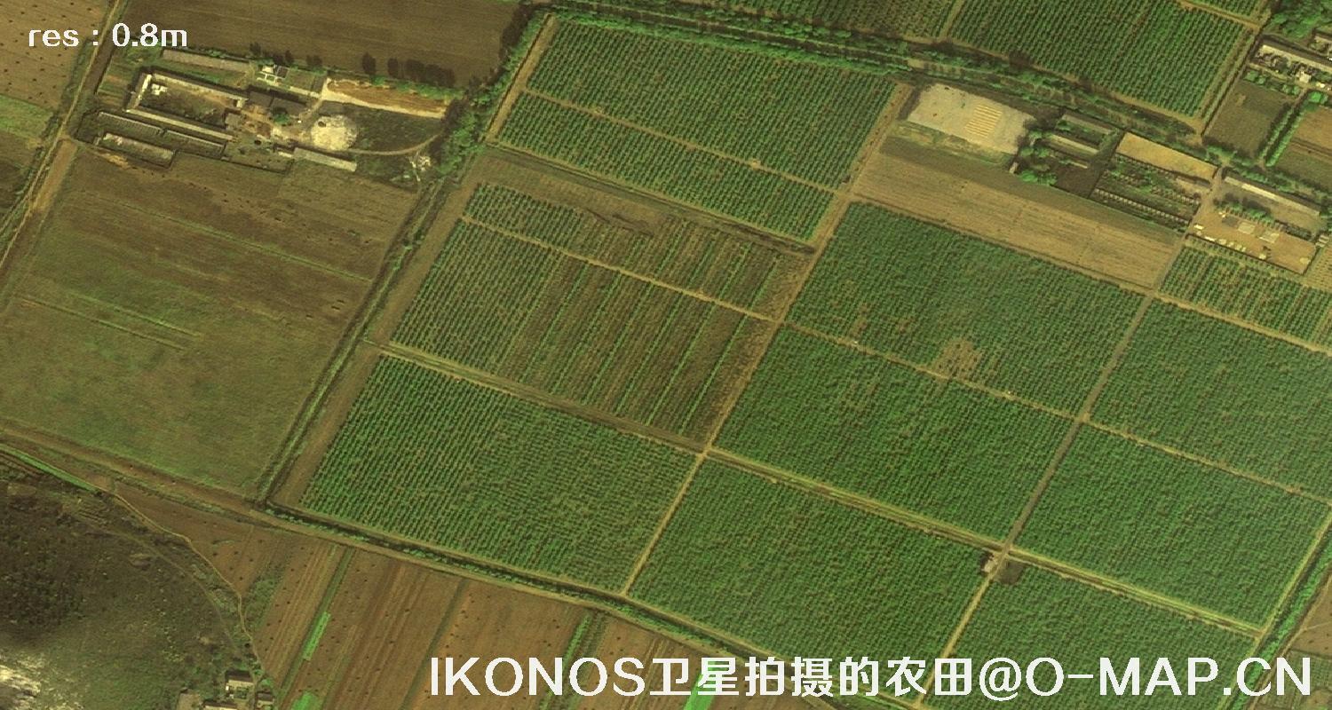 美国IKONOS卫星拍摄的农田卫星图片
