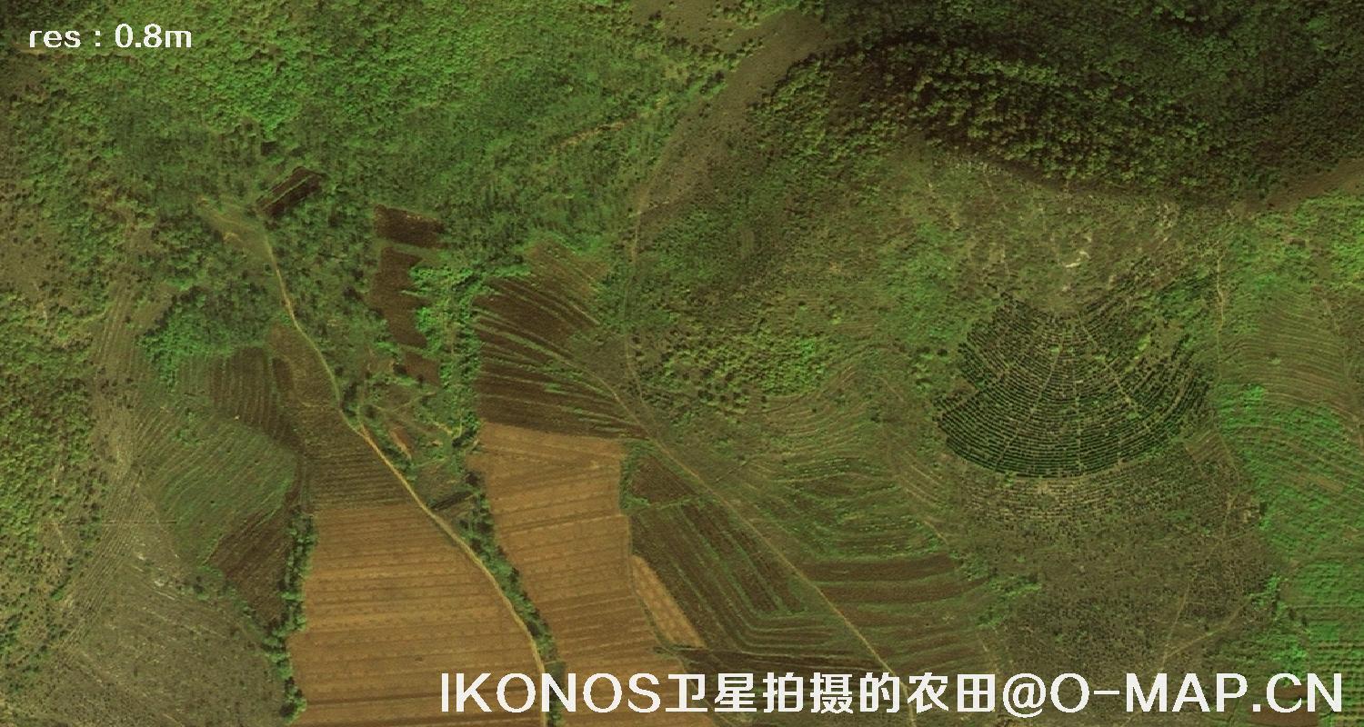美国IKONOS卫星拍摄的农田卫星图片