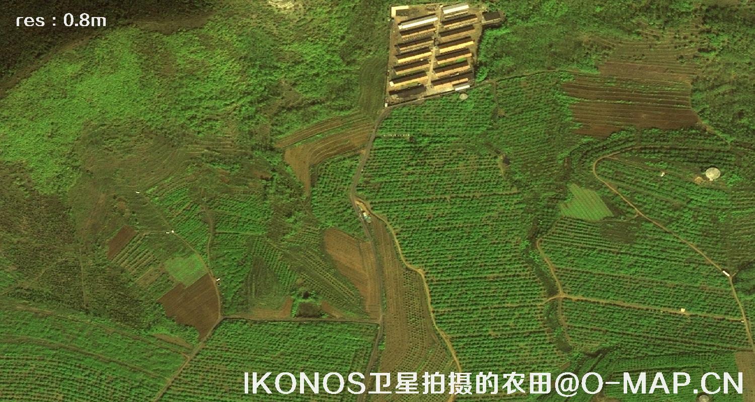 美国0.8米卫星拍摄的图像