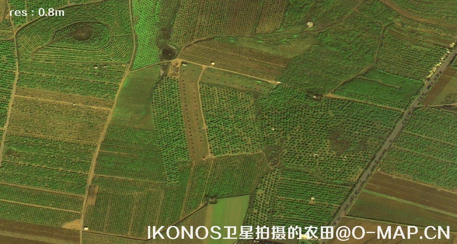美国IKONOS卫星拍摄的农田卫星图片