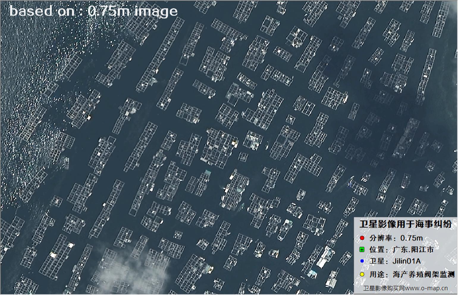 吉林一号卫星拍摄的广东省阳江市海产养殖阀架卫星图像