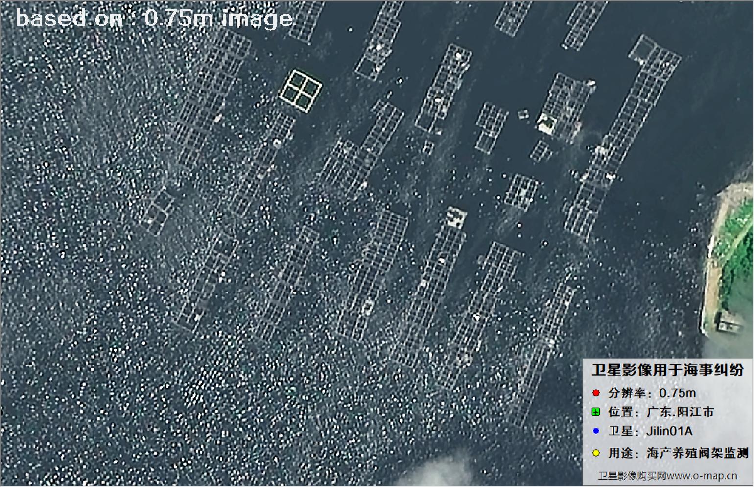 吉林一号卫星拍摄的广东省阳江市海产养殖阀架卫星图像