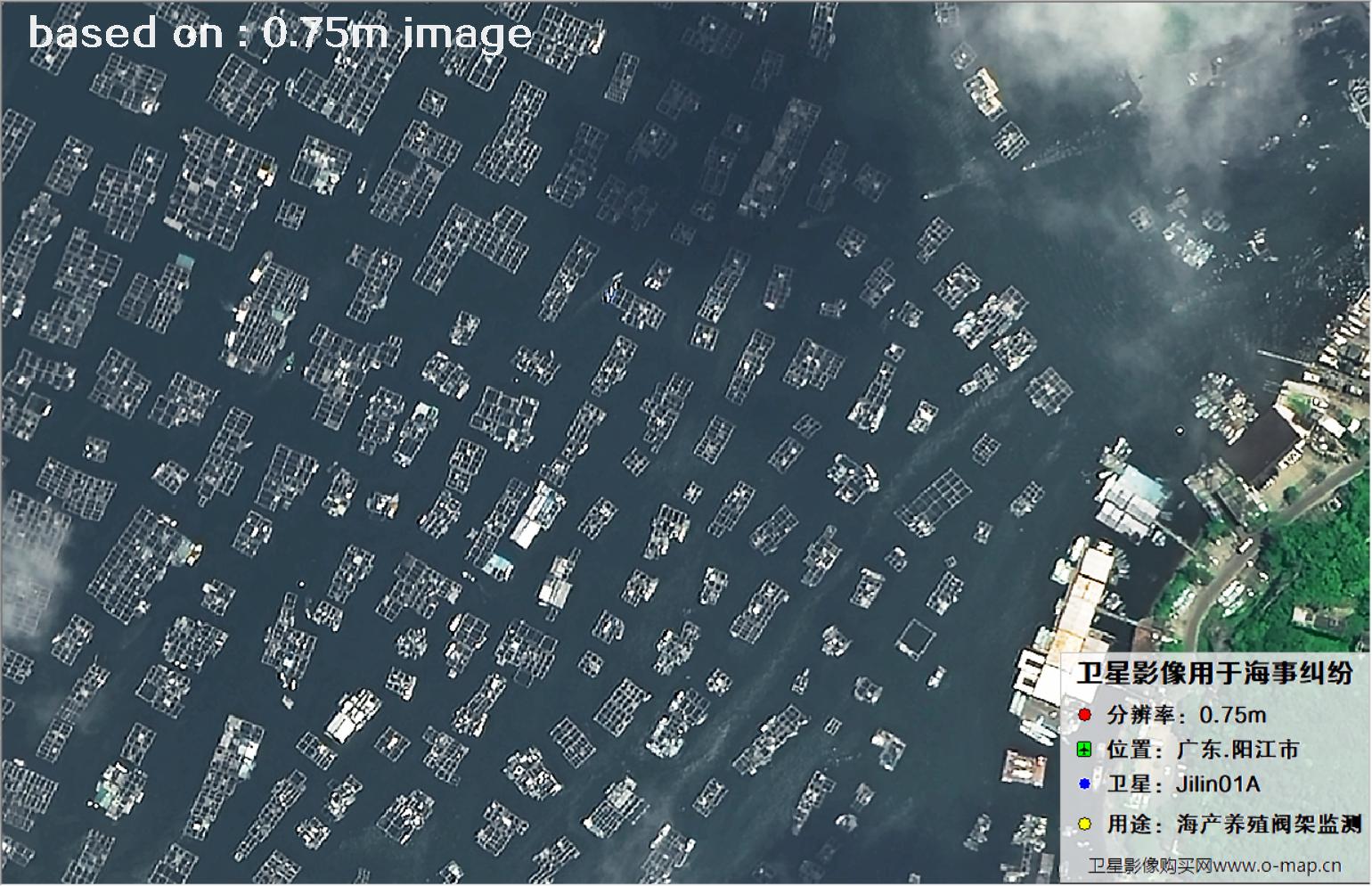 吉林一号卫星拍摄的广东省阳江市海产养殖阀架卫星图像