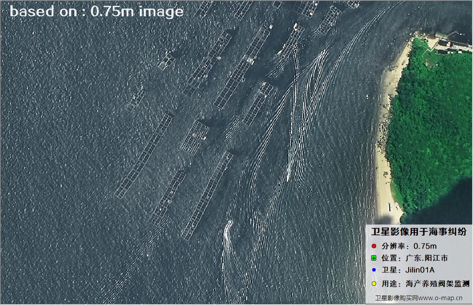 吉林一号卫星拍摄的广东省阳江市海产养殖阀架卫星图像