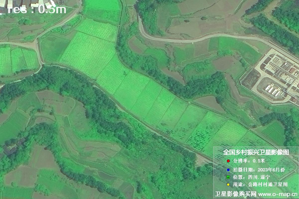 国产0.5米卫星拍摄的湖南省遂宁市某村庄公路村村通卫星图
